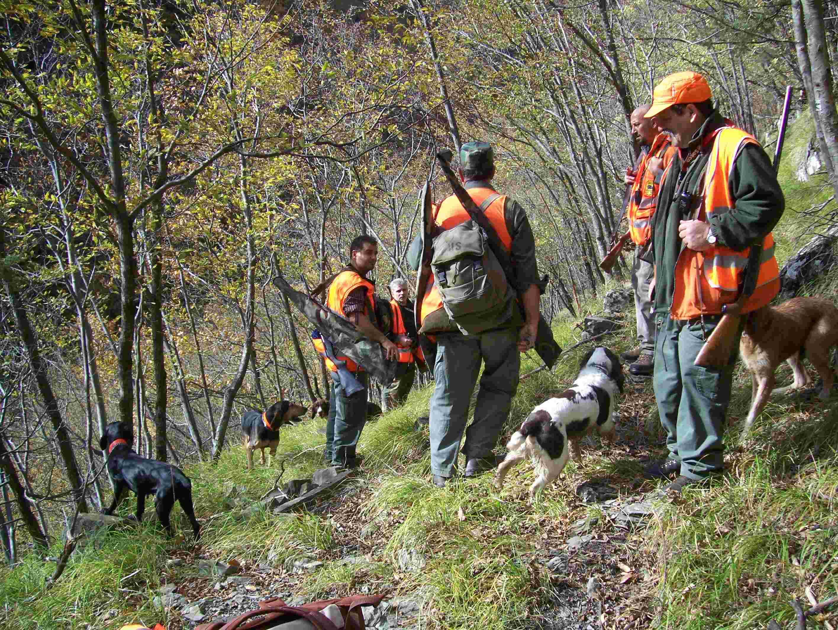  Image name: 89 Caccia.JPG 
 width: 2832 pixel 
 height: 2128 pixel 
 Size: 427117 bytes 
 Click to enlarge 